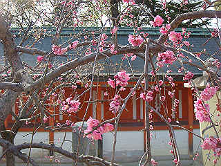 dsc01796_thumb.jpg
