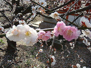 dsc01797_thumb.jpg