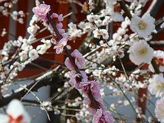 dsc01800_thumb.jpg