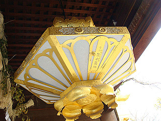 dsc01810_thumb.jpg
