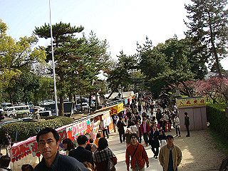 dsc01812_thumb.jpg