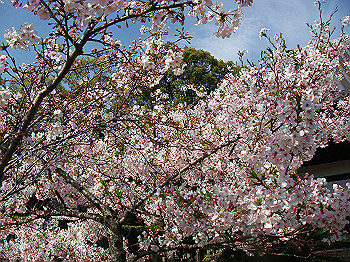 dsc01947_thumb.jpg
