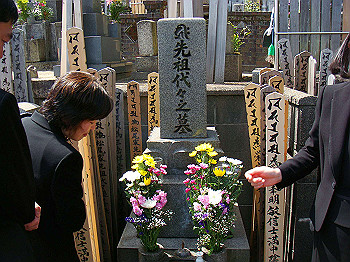 dsc01961_thumb.jpg