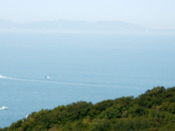dsc01972_thumb.jpg