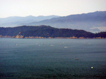 dsc01976_thumb.jpg