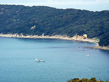 dsc01977_thumb.jpg