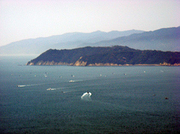 dsc01978_thumb.jpg