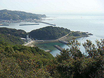 dsc01979_thumb.jpg