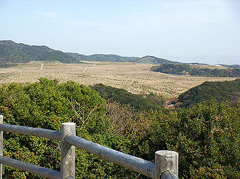 dsc01980_thumb.jpg