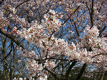 dsc01982_thumb.jpg