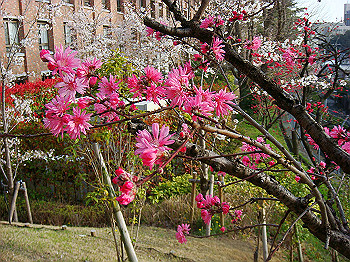 dsc01988_thumb.jpg