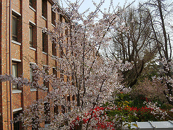 dsc01989_thumb.jpg