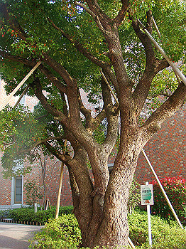 dsc01990_thumb.jpg