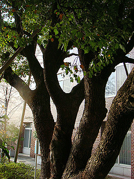 dsc01991_thumb.jpg