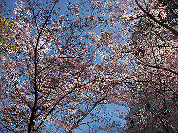 dsc01996_thumb.jpg