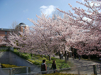 dsc01999_thumb.jpg