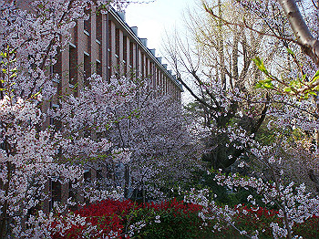 dsc02001_thumb.jpg