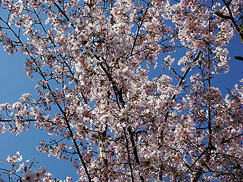 dsc02002_thumb.jpg