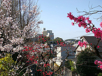 dsc02003_thumb.jpg