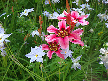 dsc02073_thumb.jpg