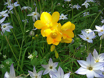 dsc02074_thumb.jpg