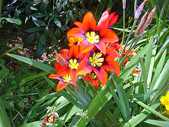 dsc02083_thumb.jpg