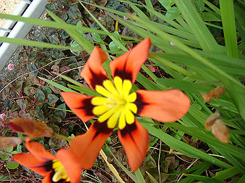 dsc02085_thumb.jpg