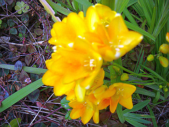 dsc02086_thumb.jpg