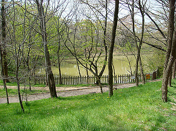 dsc02093_thumb.jpg