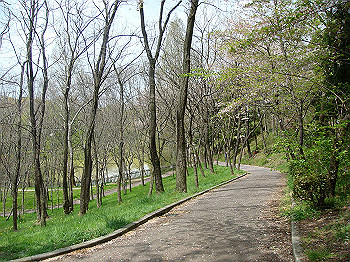 dsc02097_thumb.jpg