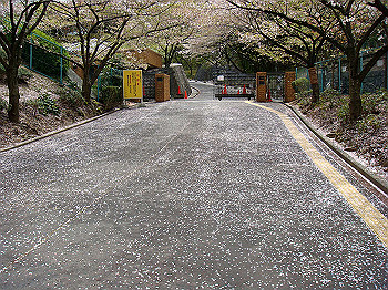 dsc02104_thumb.jpg