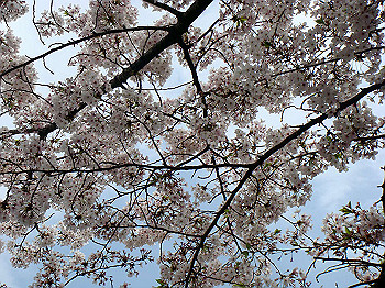dsc02107_thumb.jpg