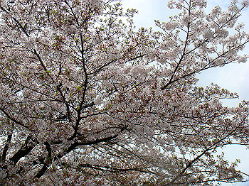 dsc02108_thumb.jpg