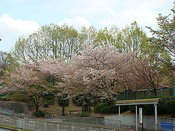 dsc02115_thumb.jpg