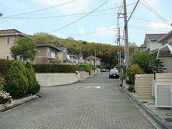 dsc02117_thumb.jpg