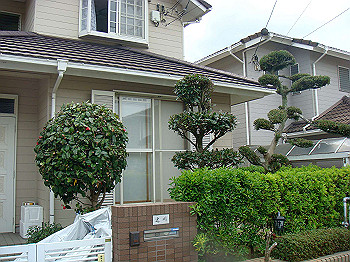 dsc02121_thumb.jpg