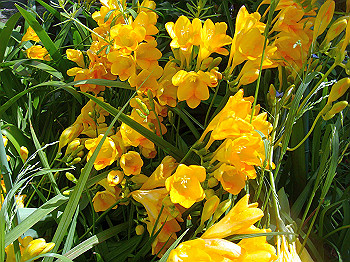 dsc02133_thumb.jpg