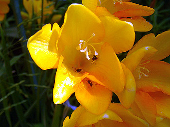 dsc02135_thumb.jpg