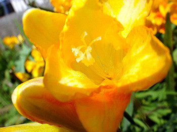 dsc02142_thumb.jpg