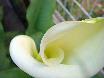 dsc02145_thumb.jpg