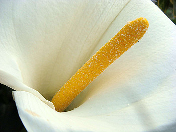 dsc02146_thumb.jpg