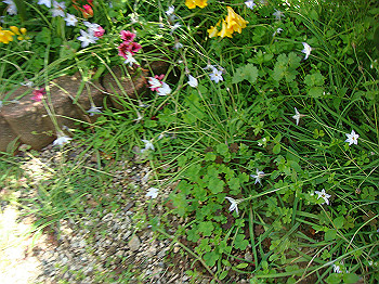 dsc02152_thumb.jpg
