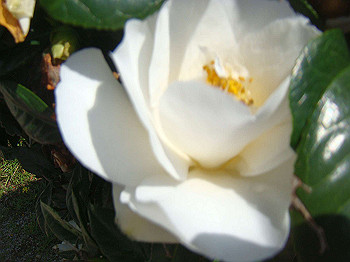 dsc02154_thumb.jpg
