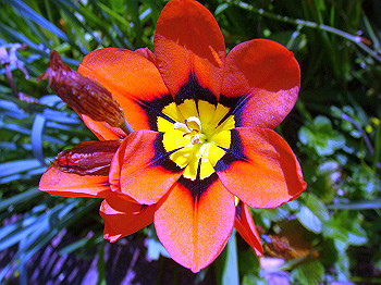 dsc02157_thumb.jpg