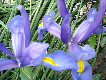 dsc02161_thumb.jpg