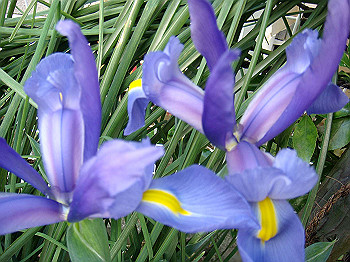 dsc02162_thumb.jpg