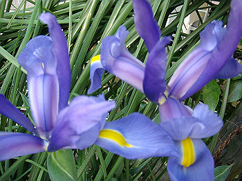 dsc02163_thumb.jpg