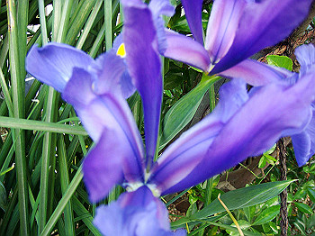 dsc02164_thumb.jpg