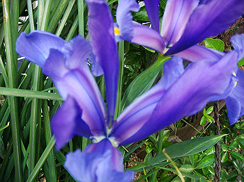 dsc02165_thumb.jpg