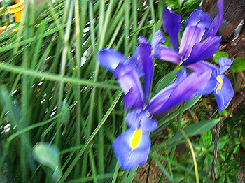dsc02166_thumb.jpg